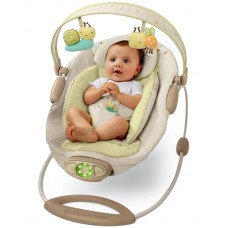 Детское кресло-качеля Bright Starts BS6905